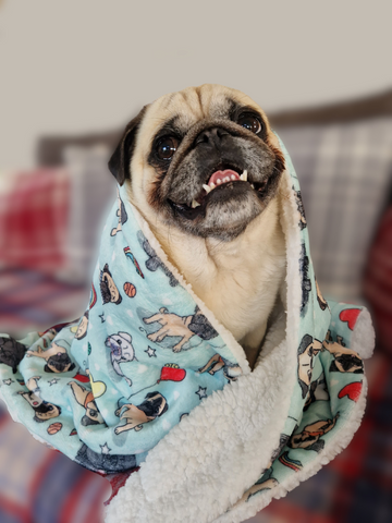 Puggin' Awesome - Blanket