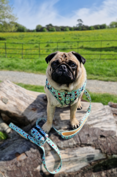 Adjustable Harness - Puggin' Awesome