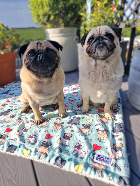 Puggin' Awesome - Blanket