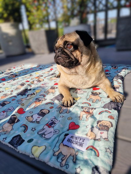 Puggin' Awesome - Blanket