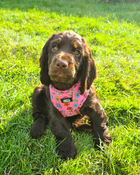 Adjustable Harness - Flower Power